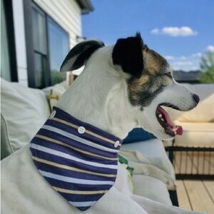 Upcycled Reversible Over The Collar Dog Bandana